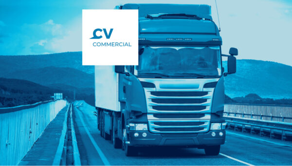 Jaltest Diagnostic CV